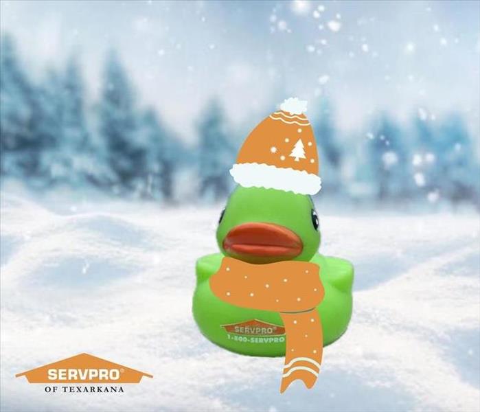 SERVPRO duck wearing scarf and hat